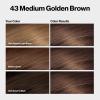 imageRevlon ColorSilk with Bond Repair Complex Brown Permanent Hair Color 100 Gray Coverage Ammonia Free Hair Dye Vegan Keratin 40 Medium Ash Brown Pack of 343 Medium Golden Brown
