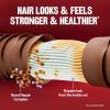 imageRevlon ColorSilk with Bond Repair Complex Brown Permanent Hair Color 100 Gray Coverage Ammonia Free Hair Dye Vegan Keratin 40 Medium Ash Brown Pack of 343 Medium Golden Brown