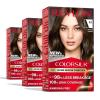 imageRevlon ColorSilk with Bond Repair Complex Brown Permanent Hair Color 100 Gray Coverage Ammonia Free Hair Dye Vegan Keratin 40 Medium Ash Brown Pack of 341 Medium Brown