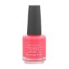 imageRevlon ColorStay Gel Envy Longwear Nail Polish with Builtin Base Coat ampamp Glossy Shine Finish in RedCoral 550 All On Red 04 oz400 Royal Flush