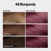imageRevlon ColorSilk with Bond Repair Complex Burgundy Permanent Hair Color 100 Gray Coverage Ammonia Free Hair Dye Vegan Keratin 48 Burgundy Pack of 348 Burgundy